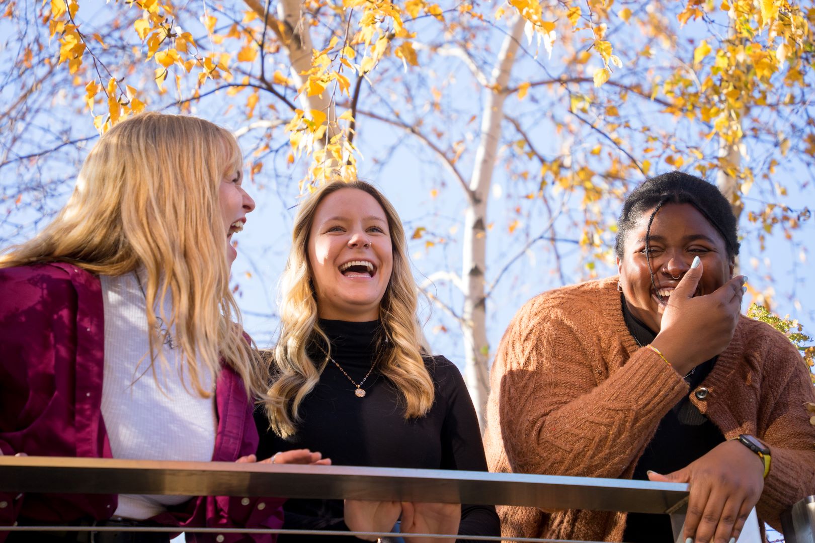 Laughing group of co-workers